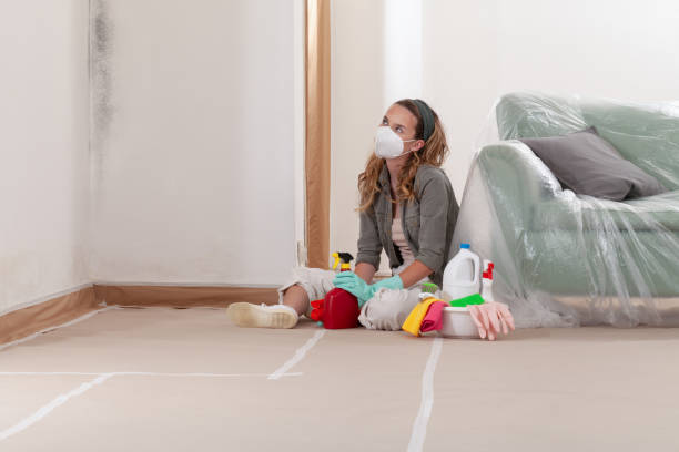 Reliable Mold Remediation contractor in New Germany, MN by WQB Mold Removal